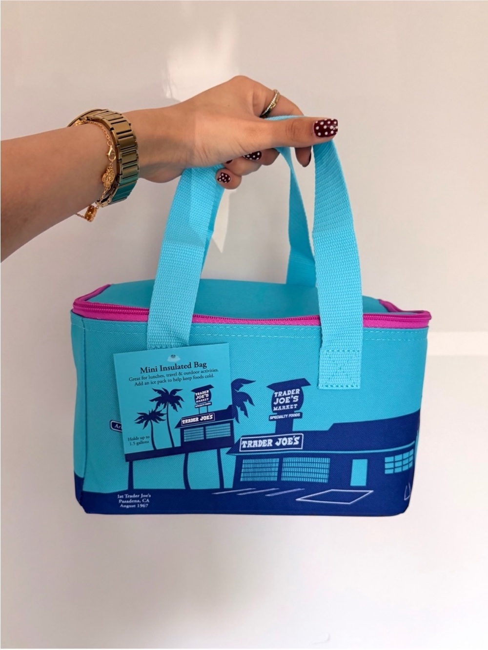 Trader Joe’s Mini Insulated Lunch Bag - Pink and Blue